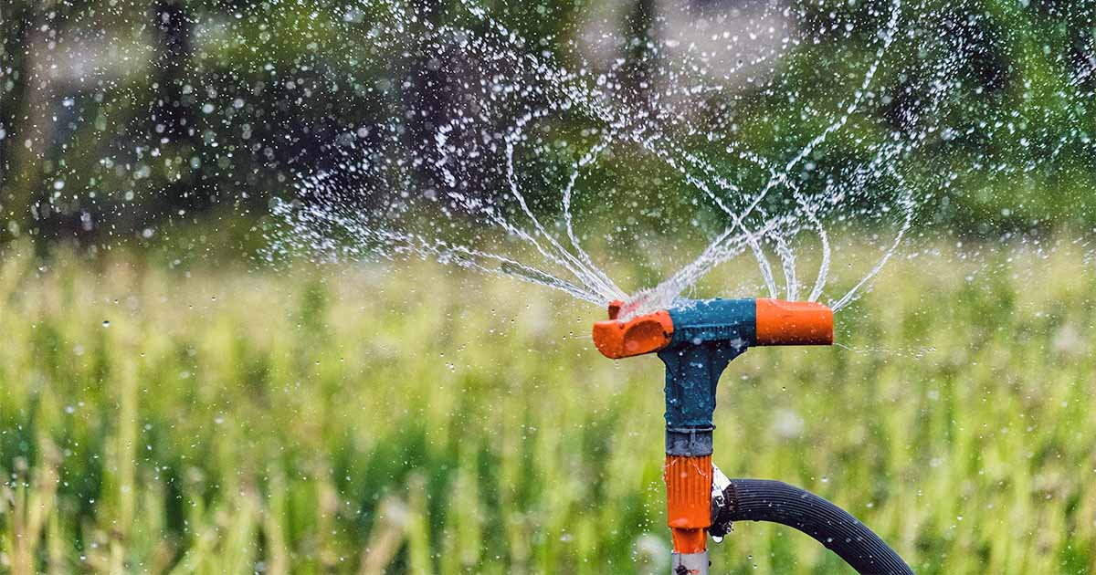 Check the garden irrigation system